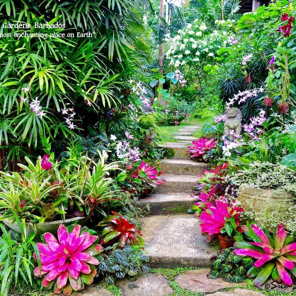 Hunte's Gardens