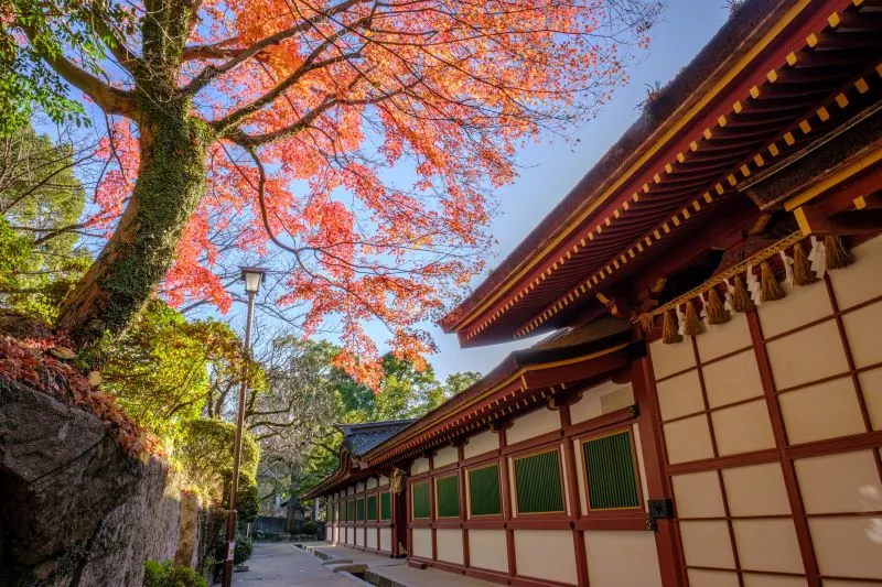 Dazaifu Tenmangu Shrine