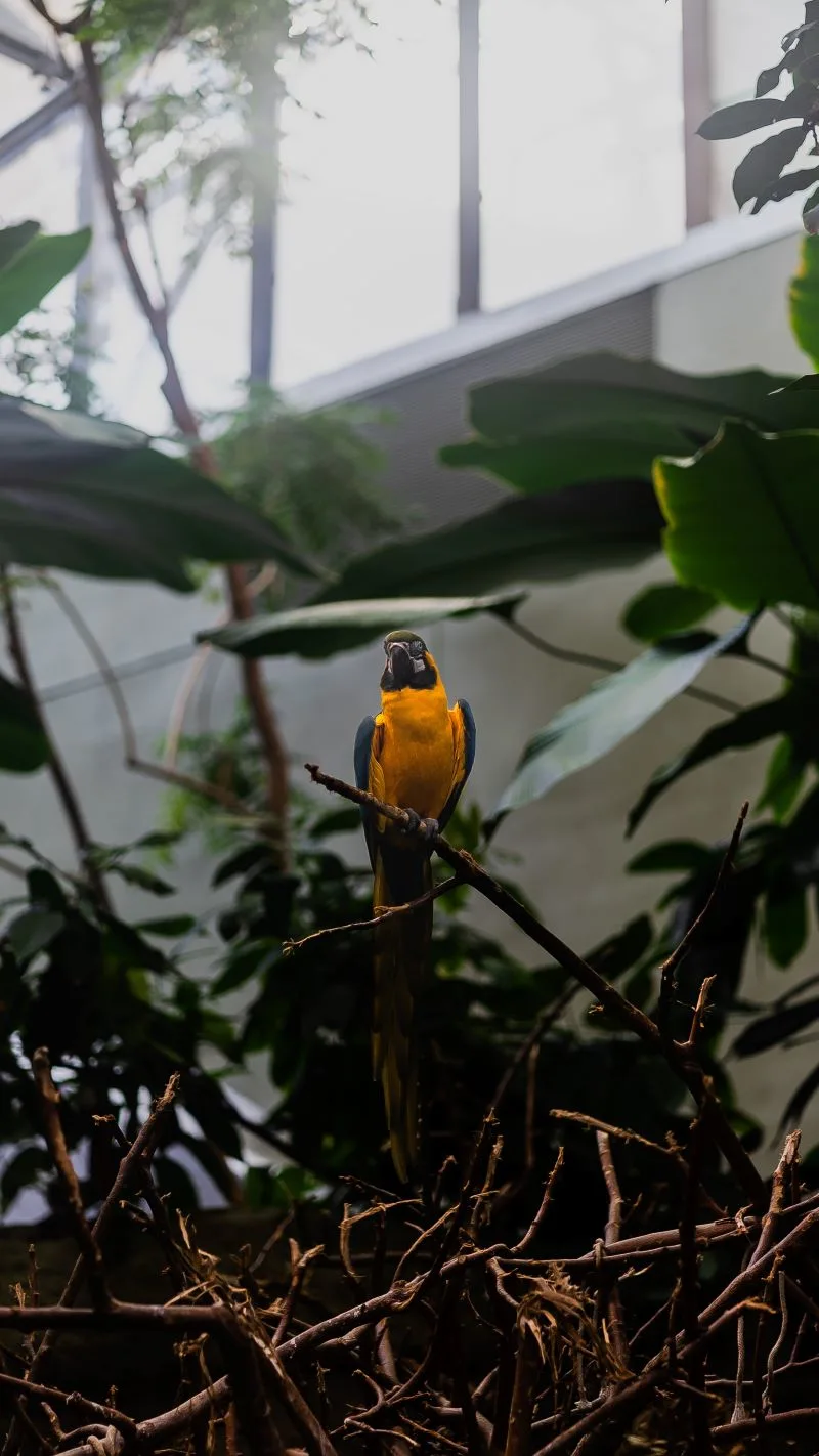 Montreal Biodome