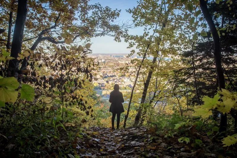 Parc du Mont-Royal