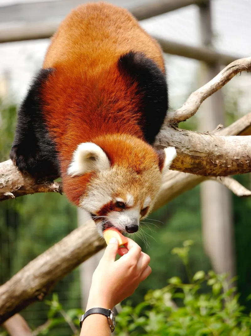 Wildlife Park