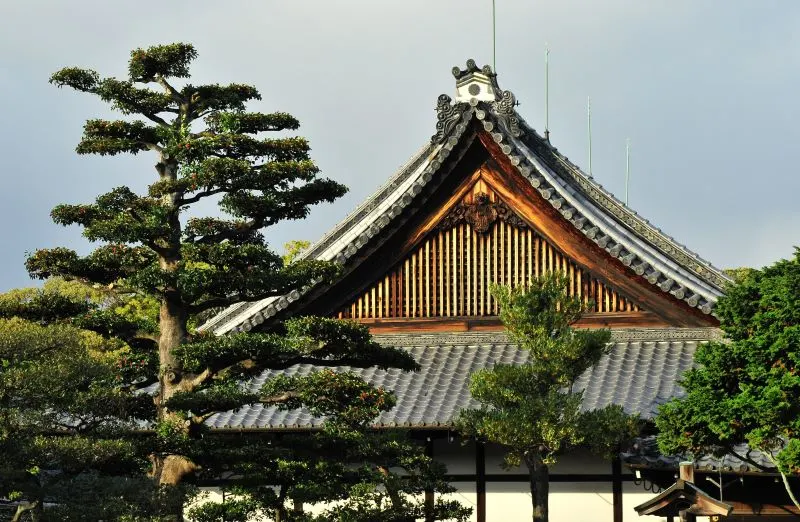 Edo Period Nijo Castle (二条城)