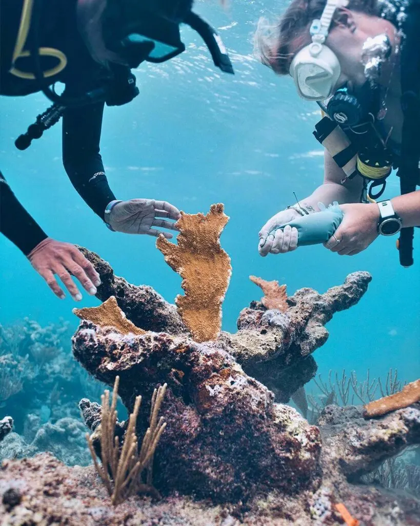 Coral Vita, the Bahamas