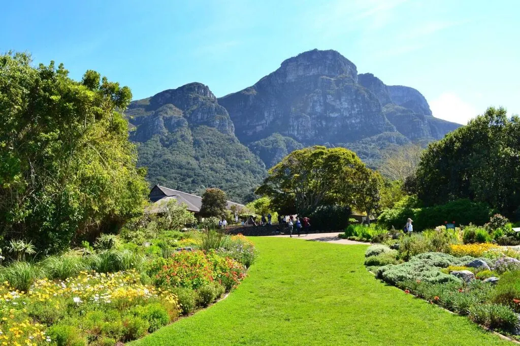 Kirstenbosch National Botanical Garden