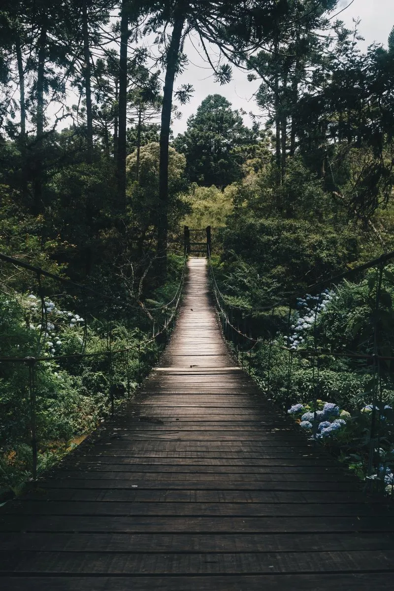 kyoto japan Philosopher's Path