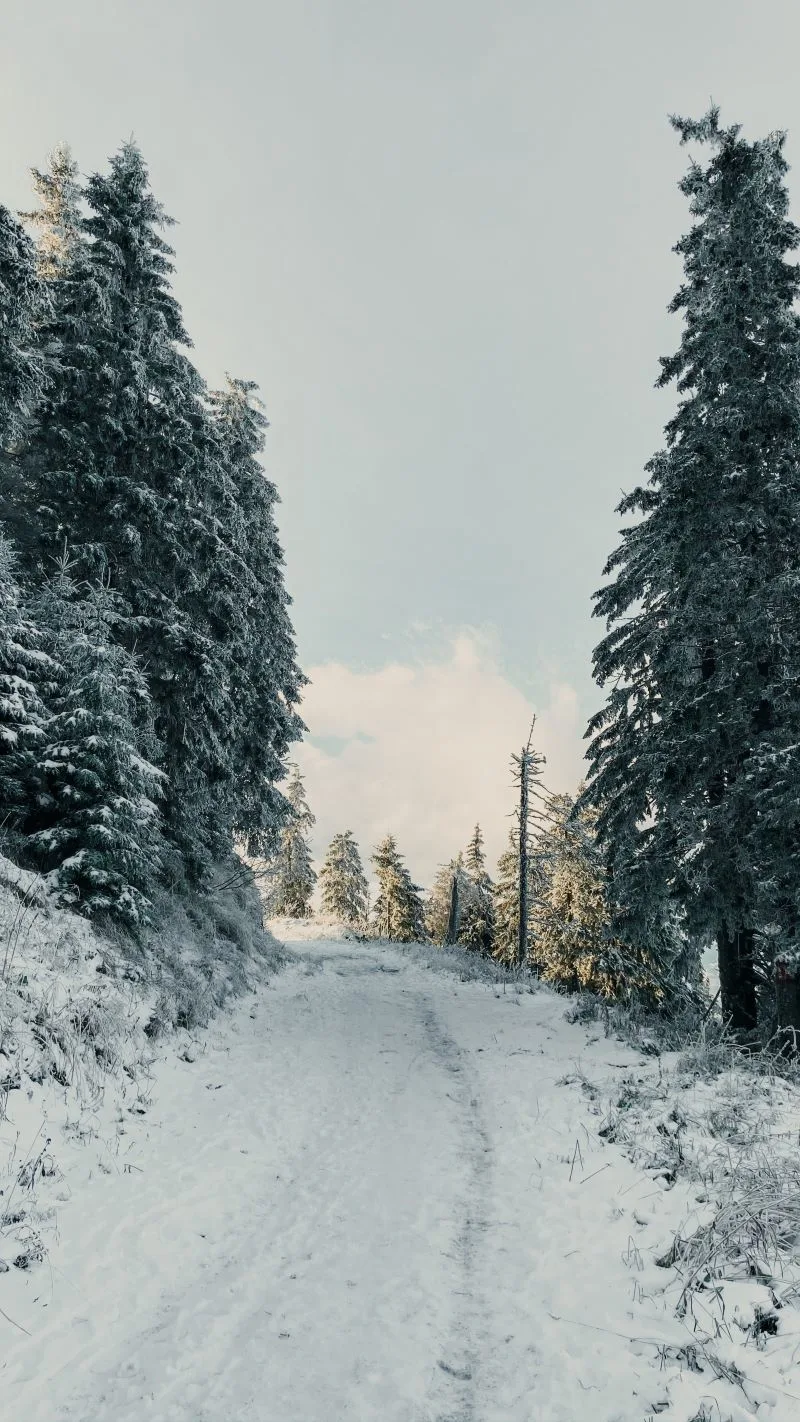 Poiana Brasov
