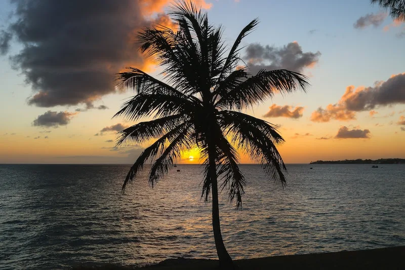 sunset over barbados beach