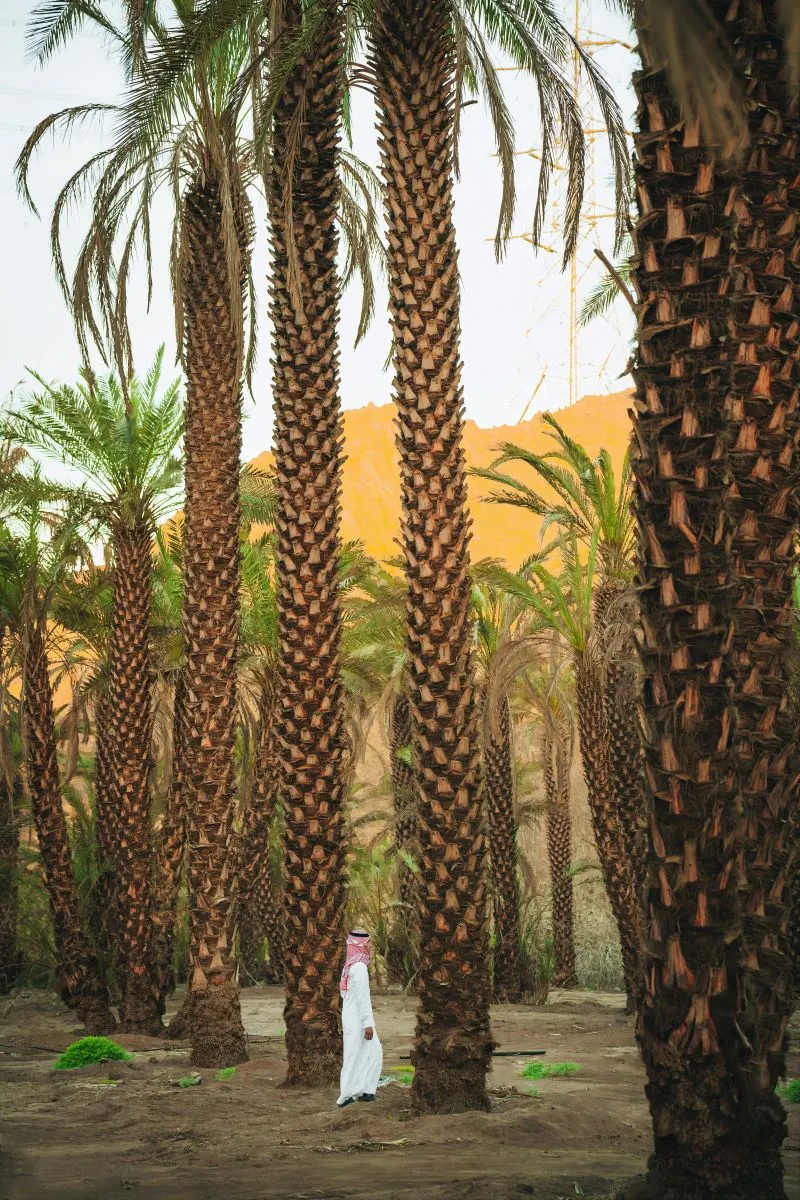 Atallah Happy Land Park Jeddah, Saudi Arabia