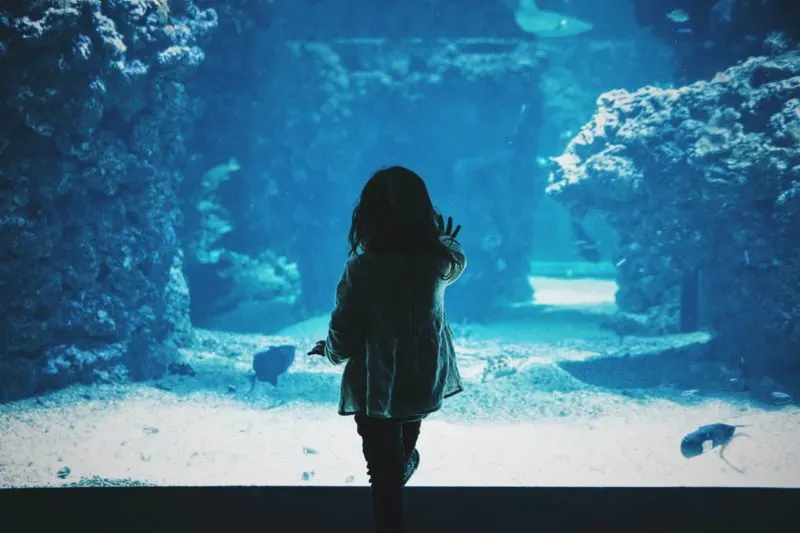 Audubon Aquarium