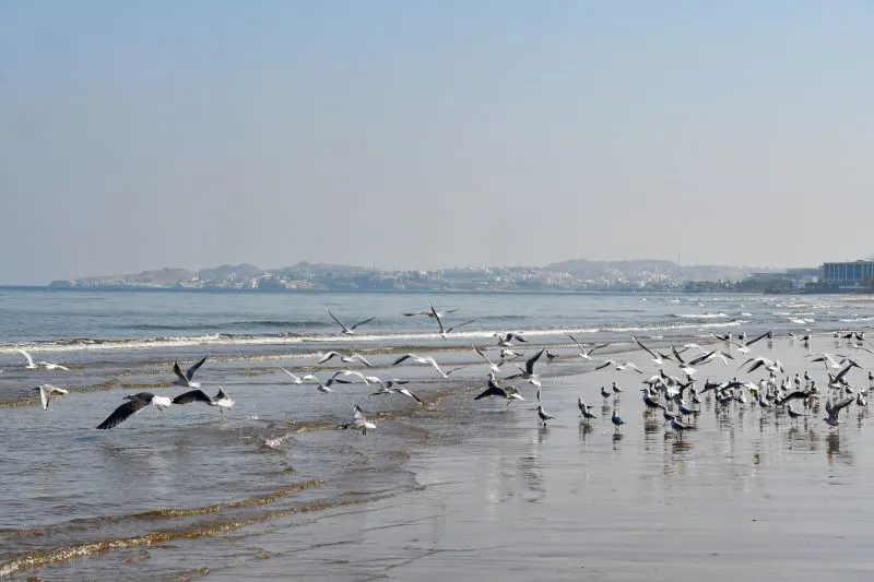 Barr Al Jissah Wetland Reserve Muscat, Oman