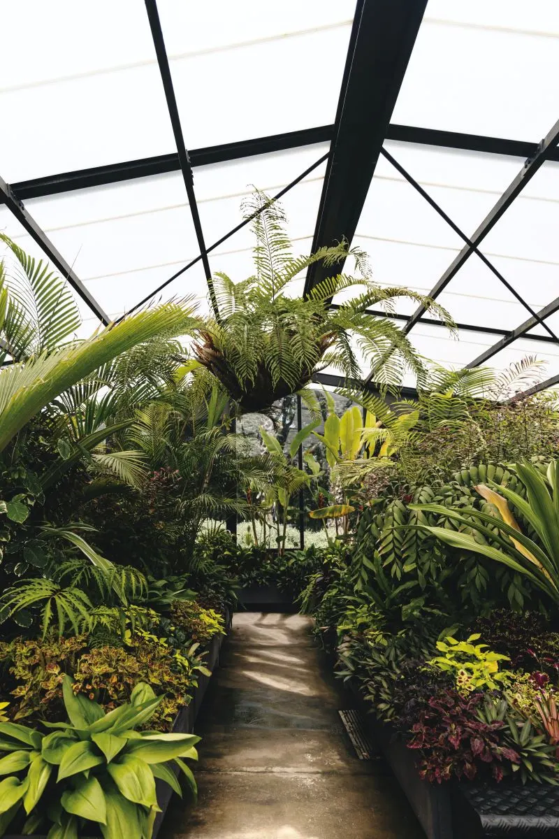 Botanic Garden Muscat, Oman