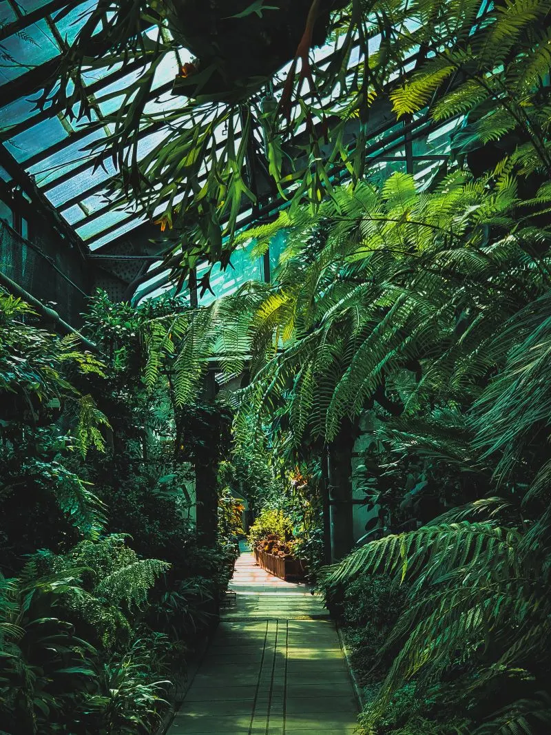 Botanical Garden