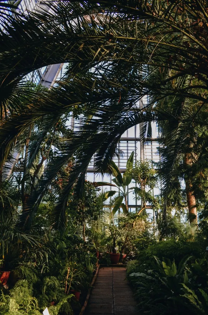 Botanical Garden Bogota, Colombia