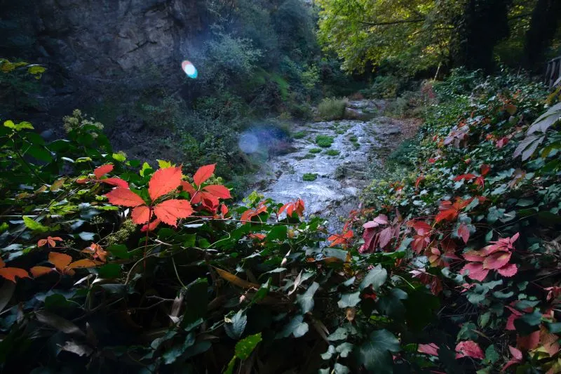 Botanical Park Heraklion, Greece