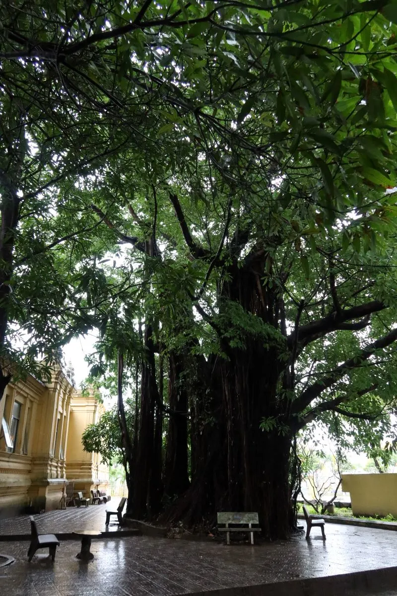 Cham Museum Da Nang, Vietnam
