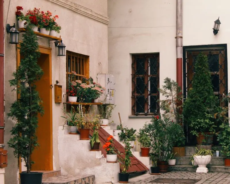 Cisnadioara Village