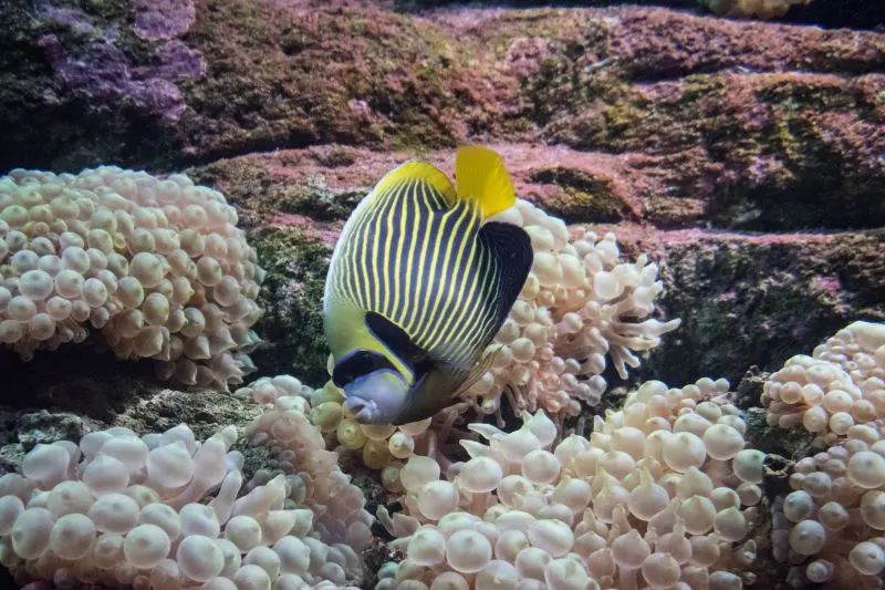 Cretaquarium Heraklion, Greece