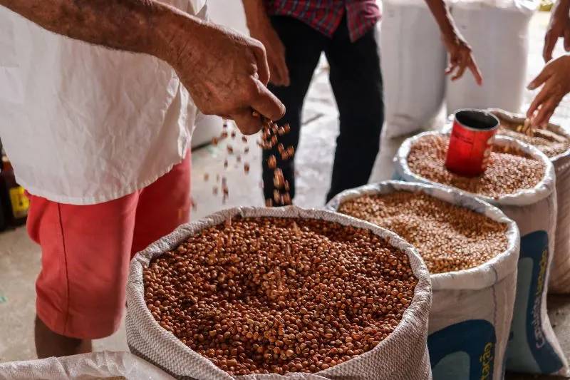 Feira Nordestina Rio de Janeiro, Brazil