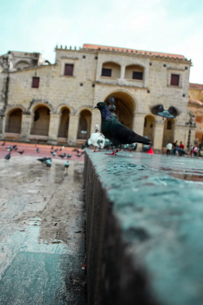 Fortaleza Ozama