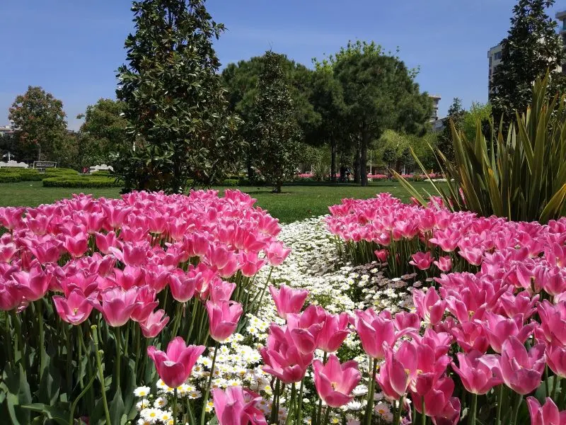 Göztepe Park Izmir, Turkey