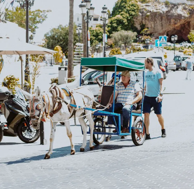 Horse-drawn carriages