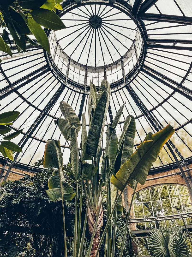 Jard&iacute;n Bot&aacute;nico Nacional