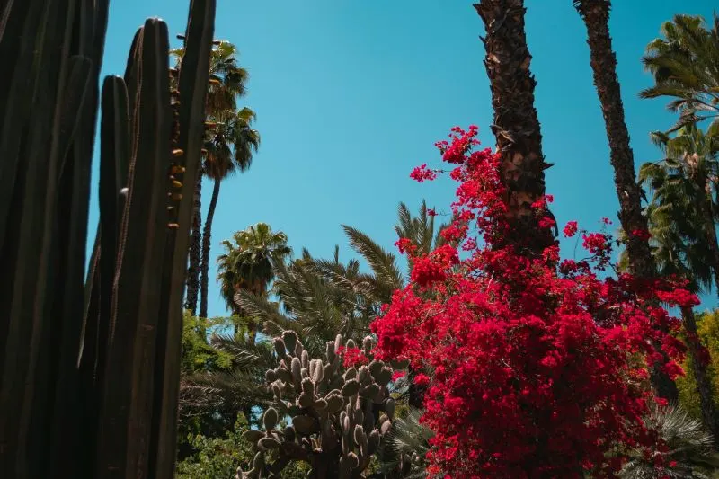 Jardin Jnan Sbil, Fes, Morocco