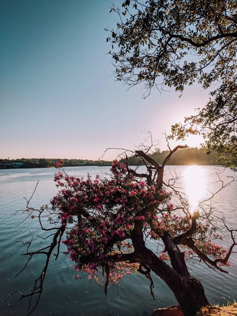 Lagoa da Pampulha Belo Horizonte, Brazil