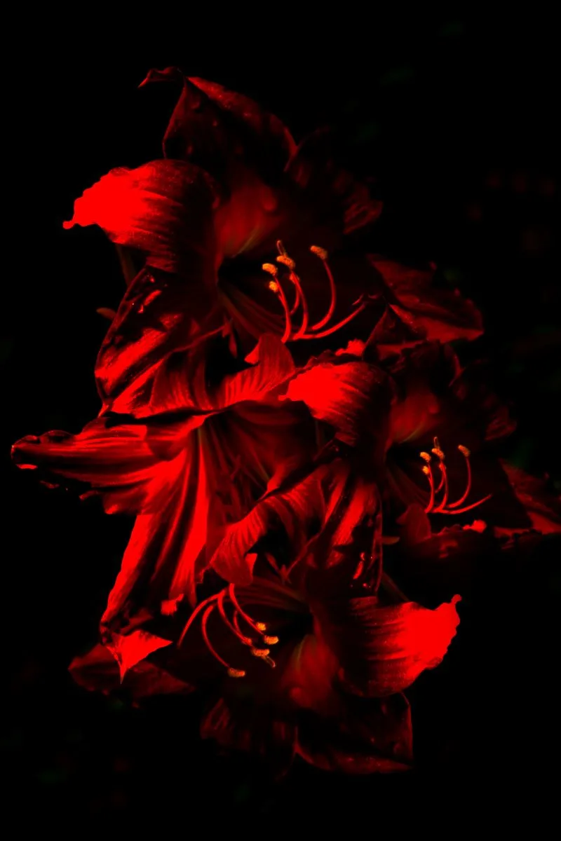 Museum of Flamenco Dance