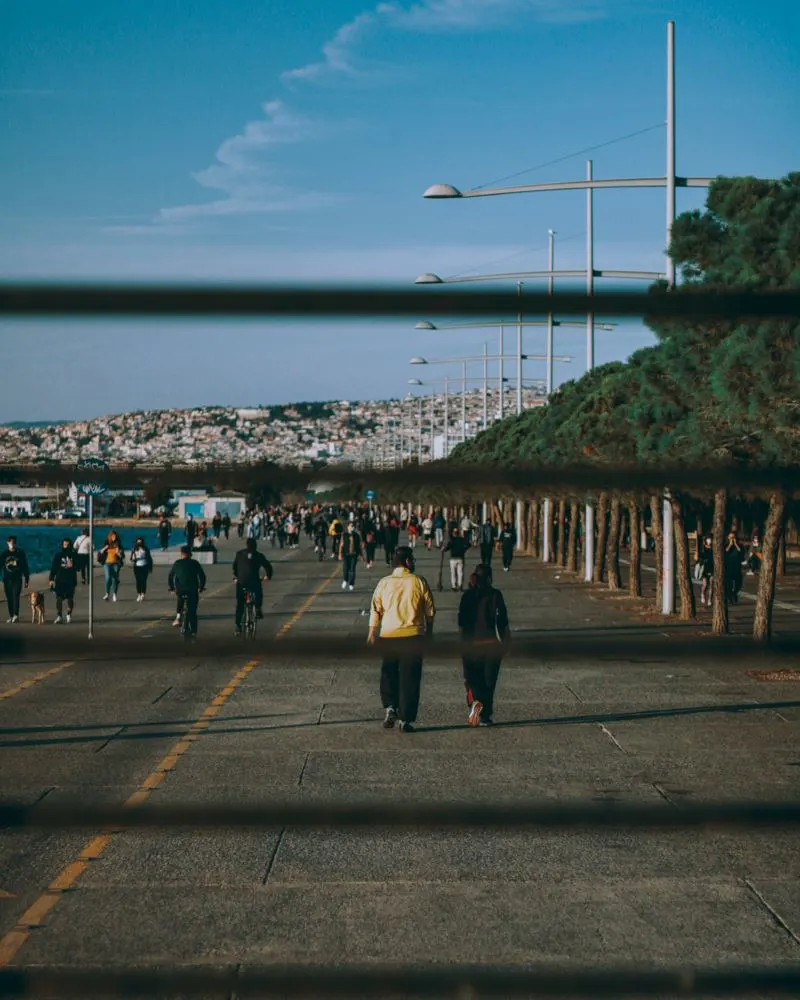 Nikis Avenue