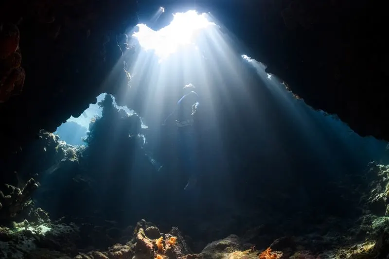 Oman Dive Center, Muscat