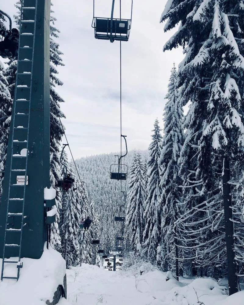 Paltinis Ski Resort