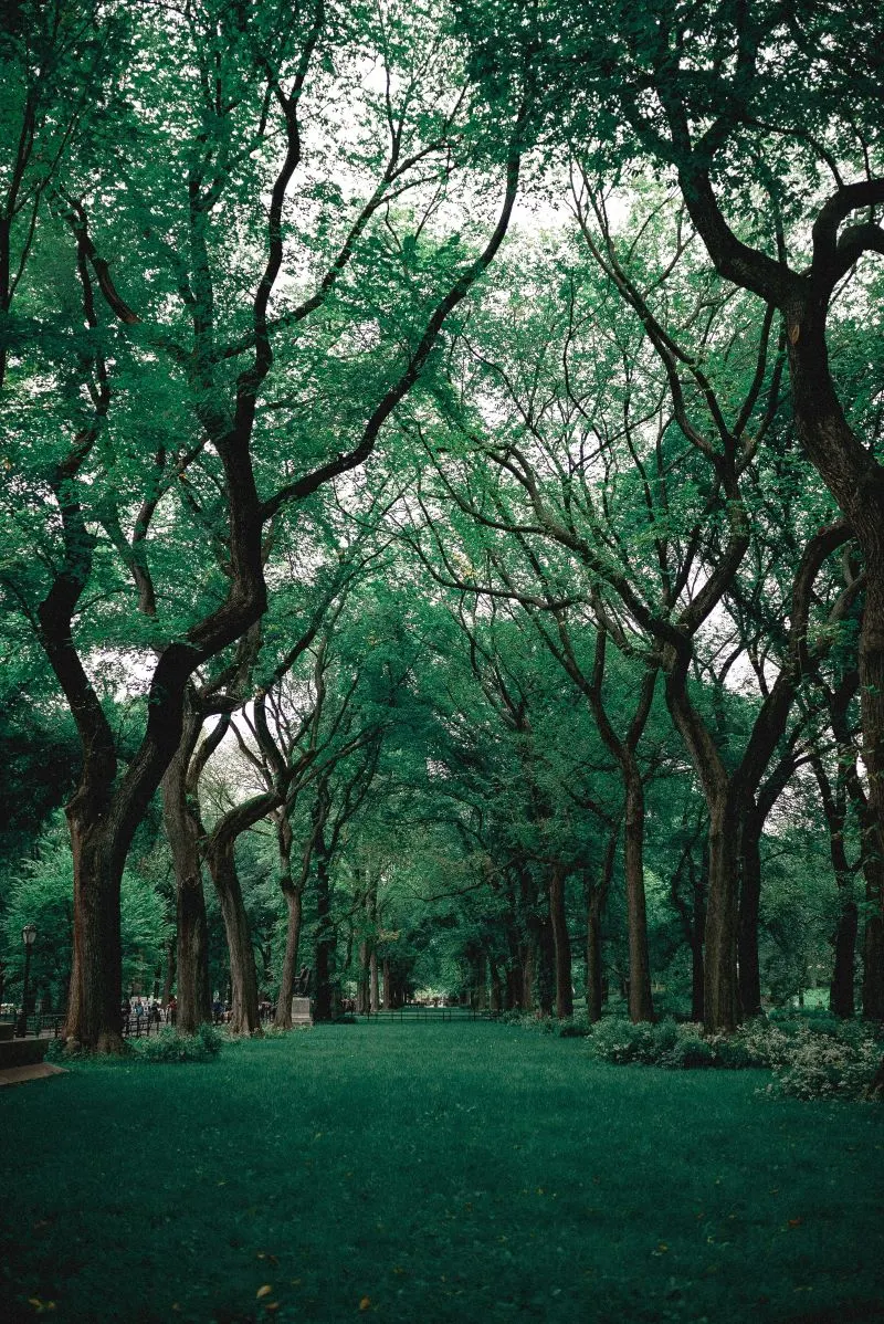 Parque Iberoamericano