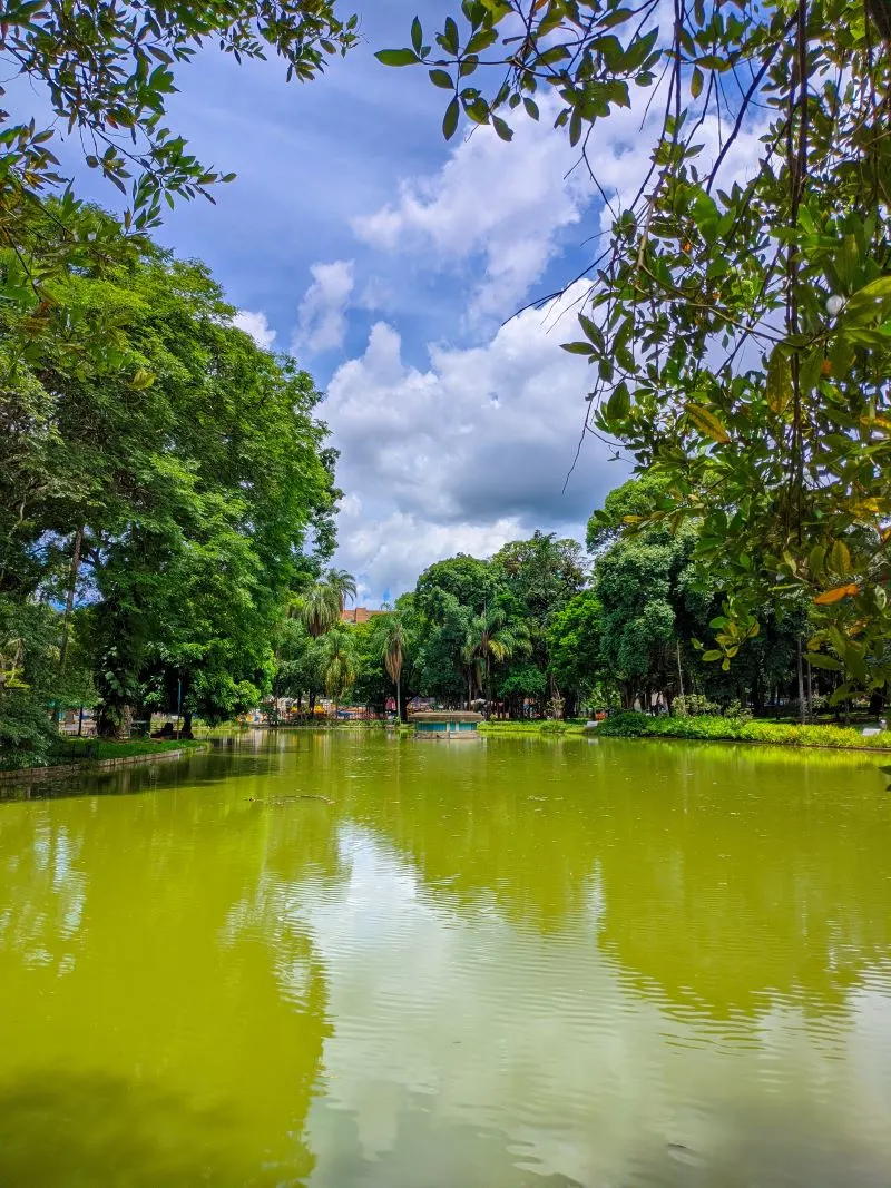 Parque Municipal Am&eacute;rico Renn&eacute; Giannetti Belo Horizonte, Brazil