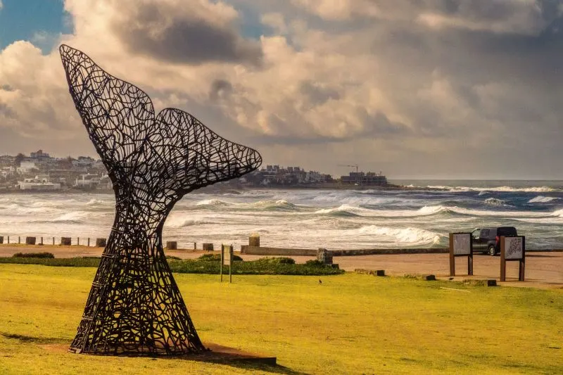 Playa Pocitos, Montevideo, Uruguay