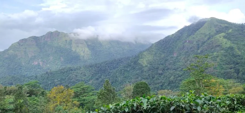 Ponmudi Hills Thiruvananthapuram, India