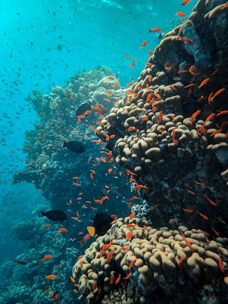 Red Sea Jeddah, Saudi Arabia