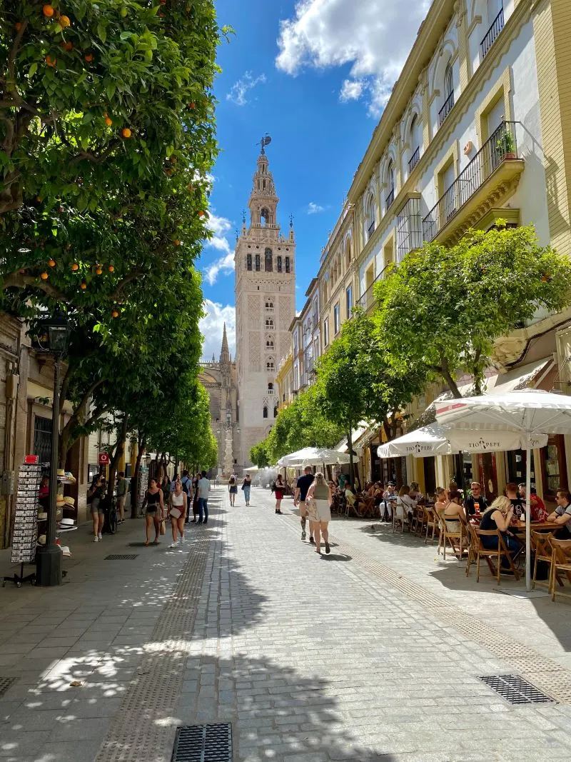 Restaurants In Seville