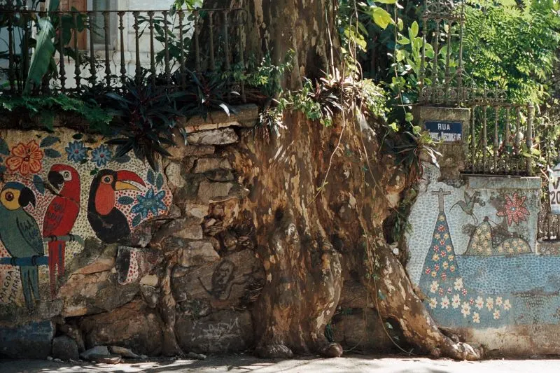 Rio Street Art Tour Brazil