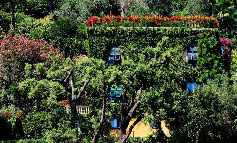 Rio de Janeiro Botanical Garden Brazil