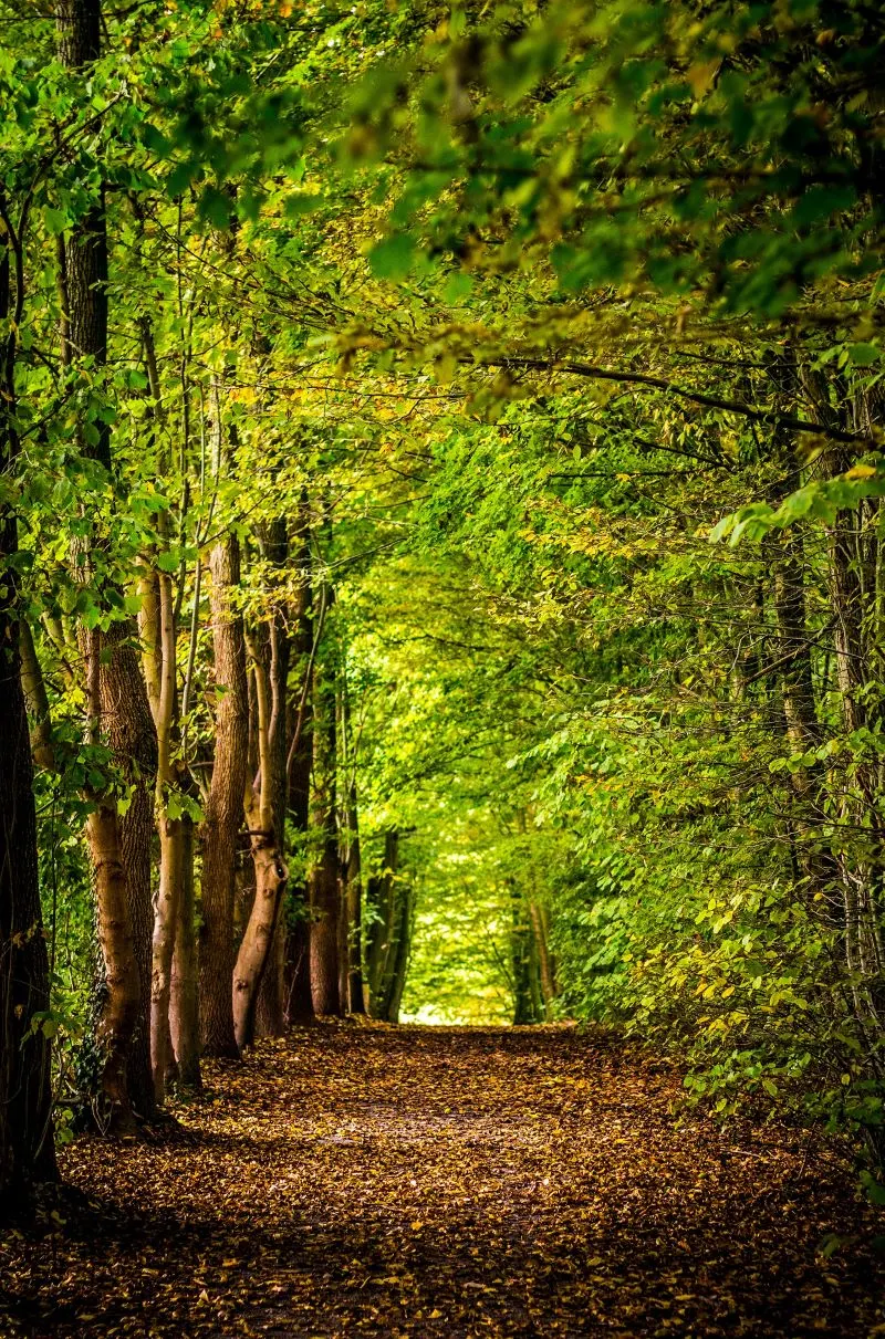 Seich Sou Forest National Park