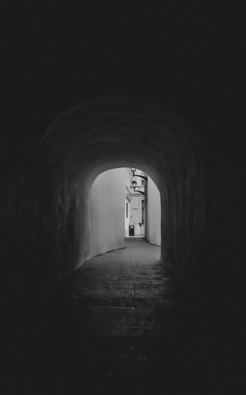 Sibiu bastions