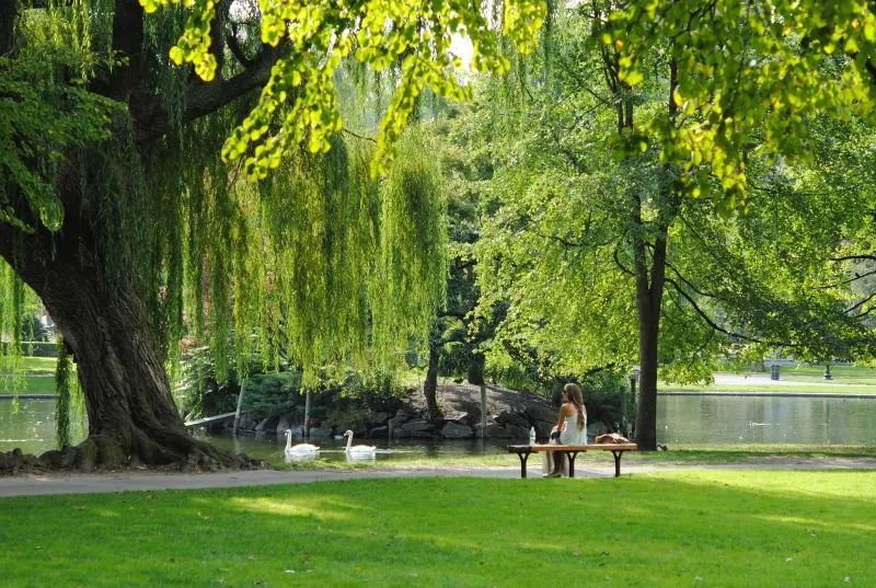 Simón Bolívar Metropolitan Park Bogota, Colombia