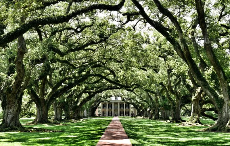 Whitney Plantation