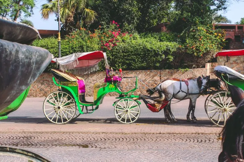 horse-drawn carriage