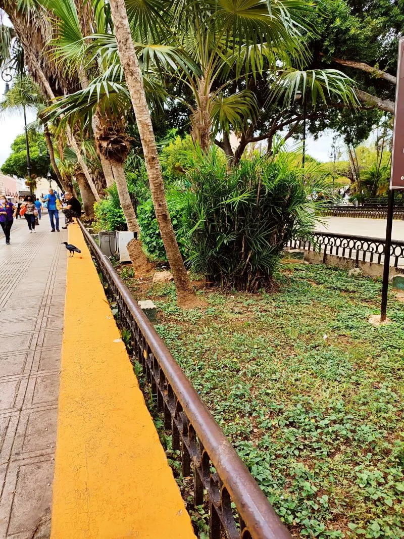 Cacao Museum Merida, Mexico
