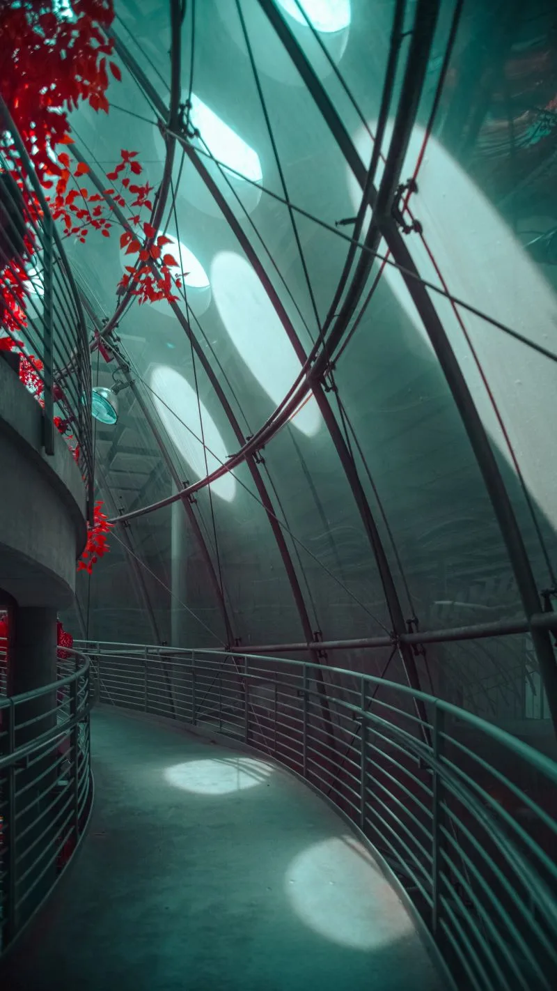 California Academy of Sciences, USA