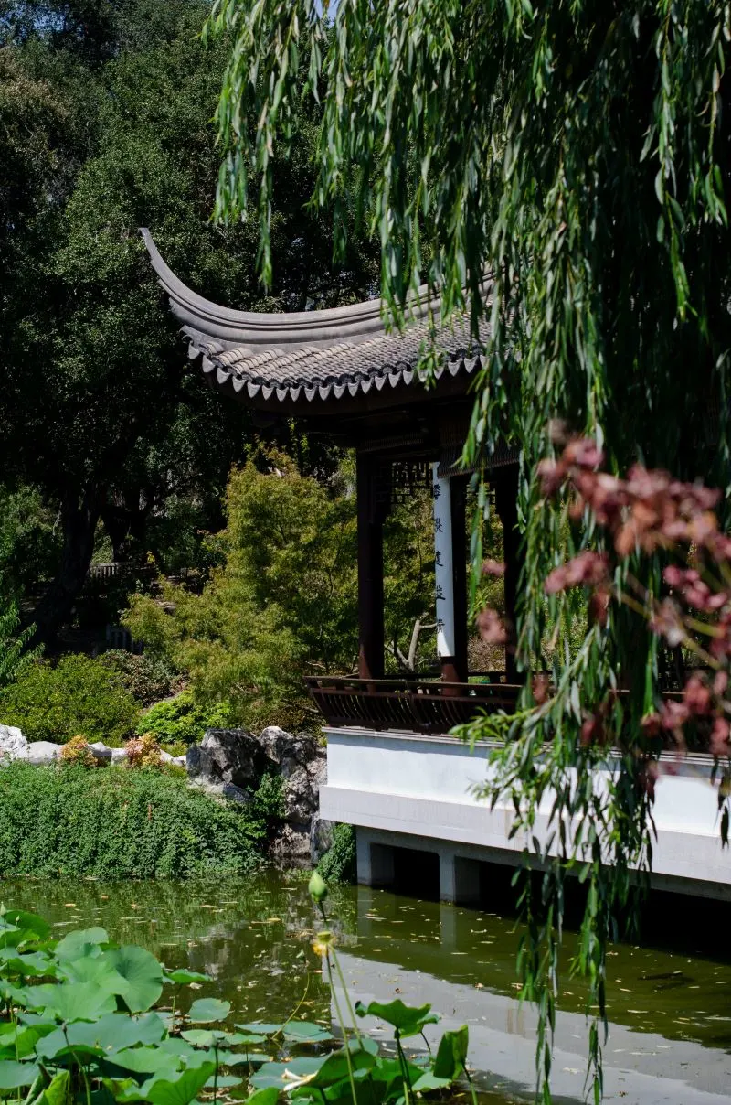 Chinese Garden Zurich, Switzerland