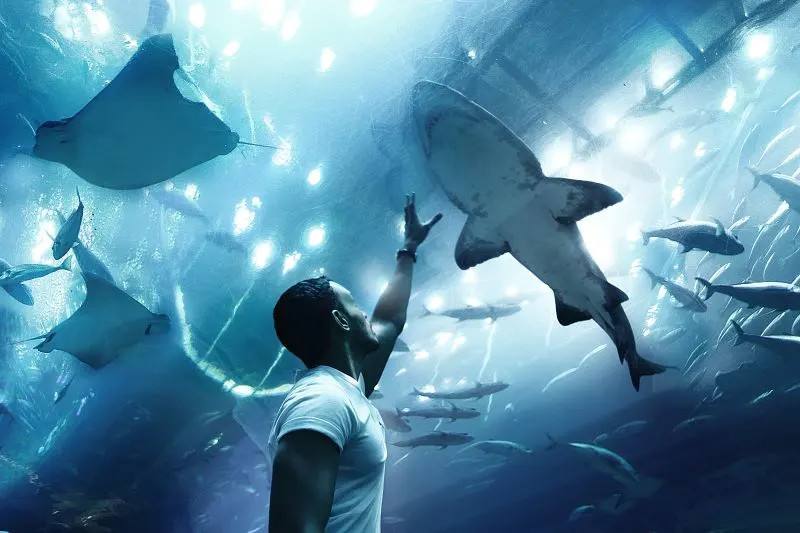 Dubai Aquarium, UAE