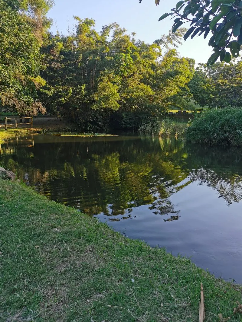 Durban Botanic Gardens, South Africa